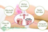 Viêm nhiễm phụ khoa là gì nguyên nhân triệu chứng cách chữa bệnh