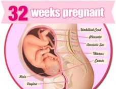 Sự phát triển của thai nhi tuần 32 cụ thể như thế nào